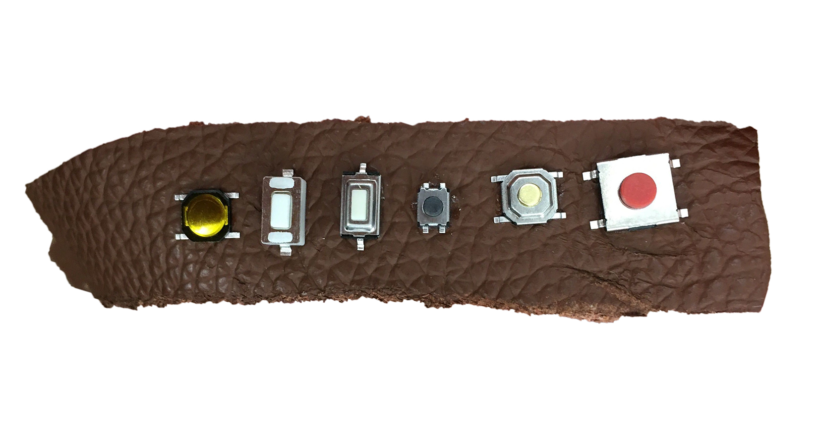zeal/button-selections.png